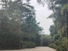 -深圳隐秀山居酒店