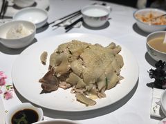 手撕鸡-花城苑广府菜(侨鑫店)