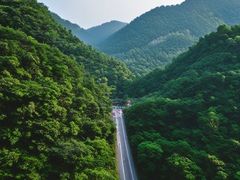 -南海湾森林生态园