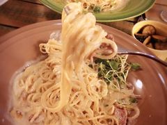 -Cafe Alice咖啡爱丽丝(奥城店)