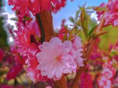 -朝阳公园