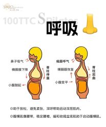 -水沐莲清瑜伽·普拉提