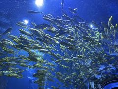 -威海华夏城景区