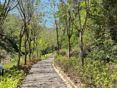 -广州白江湖森林公园