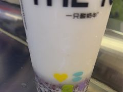 -一只酸奶牛(兰州中心店)