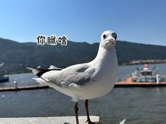 -滇池海埂公园