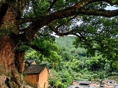 -杨家堂村