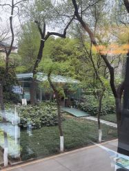 -南京医科大学友谊整形外科医院