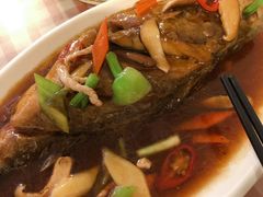 -聂记粤菜馆(鼓西路店)