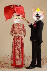 -CD视觉婚纱摄影