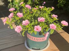 -缘生态云南菜·野生菌庭院餐厅(华侨城店)