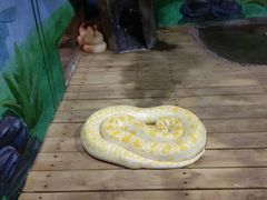 -石家庄市动物园