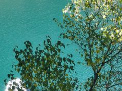 -叠溪松坪沟景区