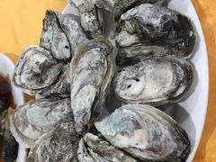 桑拿蚝-蚝专家(北滘店)