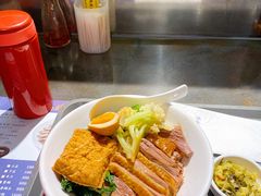 金奖卤鹅肉饭-陈鹏鹏潮汕菜(宝安机场T3航站楼店)