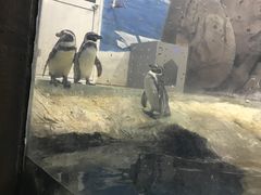 -梦幻海洋王国(吾悦广场张家港店)