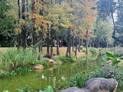 -人民公园(罗湖区)