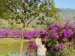 -南国桃园旅游度假区