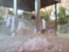 -春晖园度假酒店温泉