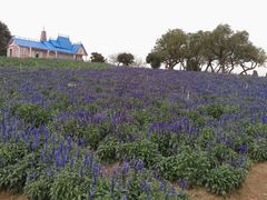 android_upload_pic-松山湖梦幻百花洲