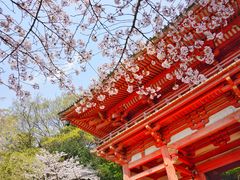 -醍醐寺