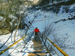 -青峰峡国家森林公园
