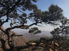 -大连天门山国家森林公园