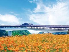 -福建鲤鱼洲酒店