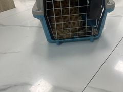 -嘉馨宠物医院·CT影像转诊·心脏科·犬猫全科诊疗中心(下沙大学城院区)