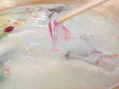 -颜氏双江清水鱼一养身火锅(磁器口店)