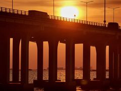 -宝安西湾红树林湿地公园