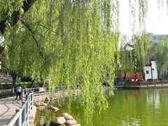 -莲湖公园