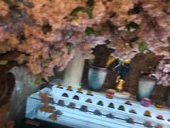 -福禧荟·海鲜自助
