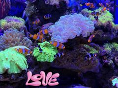 -多彩贵州城极地海洋世界