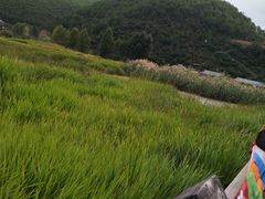 -泸沽湖国家级风景名胜区走婚桥