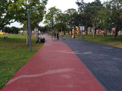 -万绿园