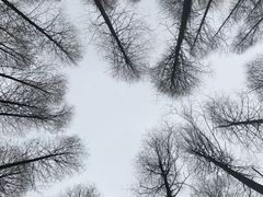 -山王坪喀斯特国家生态公园
