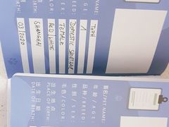 -申普宠物医院·心脏介入·心血管微创(总院)