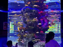 -石家庄极地海洋世界