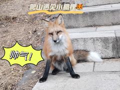 -北京十三陵国家森林公园蟒山景区