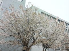 -南京工程学院(江宁校区)