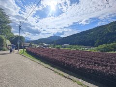 -三千院