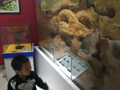 -上海昆虫博物馆