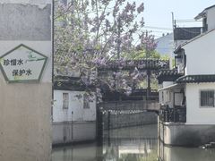 -沈记青团