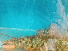 -海帮主·蒸汽海鲜青岛菜(栈桥火车站店)
