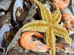 -永红源啤酒·烧烤·海鲜·大排档(青特城店)