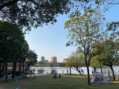 -顺峰山公园