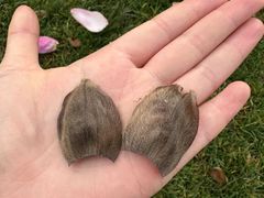 -重庆中央公园(渝北区)