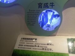 -君乐宝优致牧场