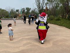 -郑州银基国际旅游度假区